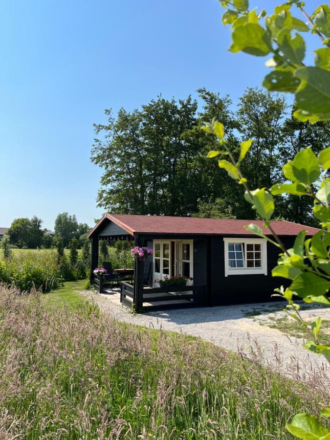 Bed and Breakfast Fields 1216 Zwaanshoek Экстерьер фото